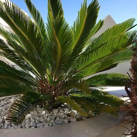 Heliopolis Ab Rez De Jardin Chez Palo Agde